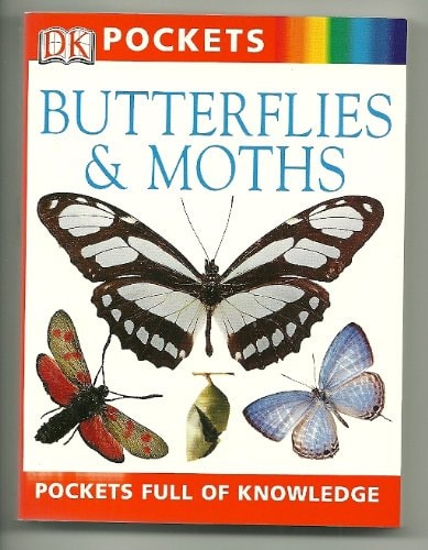 Butterflies and Moths (Pockets) by BARBARA TAYLOR