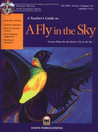 A Teacher's Guide to a Fly in the Sky by Bruce Malnor, Carol Malnor, Kristin Joy Pratt