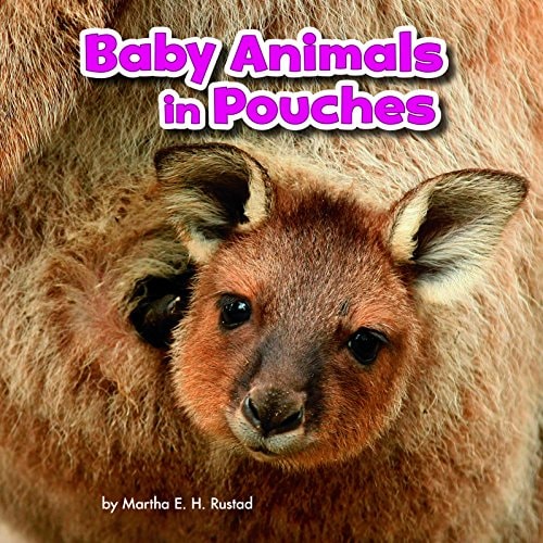 Baby Animals in Pouches by Martha Elizabeth Hillman Rustad