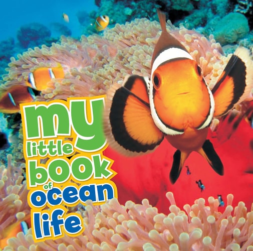 My Little Book of Ocean Life by Camilla de la Bédoyère