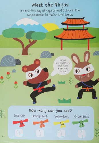 Make and Do: Ninjas by Quarto Books