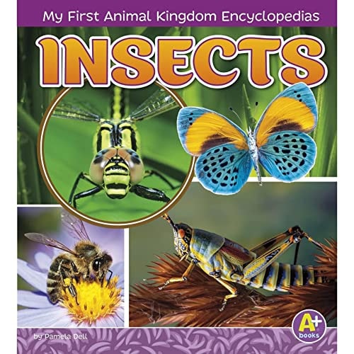 Insects by Janet Riehecky