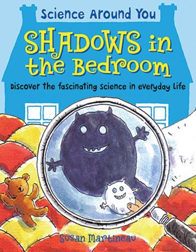 Shadows in the Bedroom by Susan Martineau