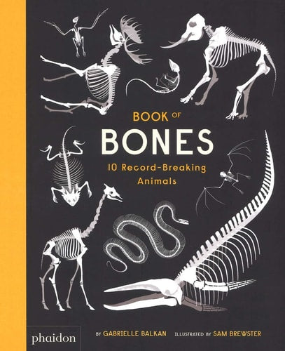 BOOK OF BONES by Gabrielle Balkan