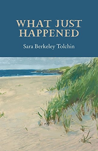 What Just Happened by Sara Berkley Tolchin