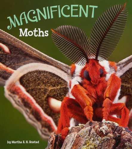 Magnificent Moths by Martha E. H. Rustad
