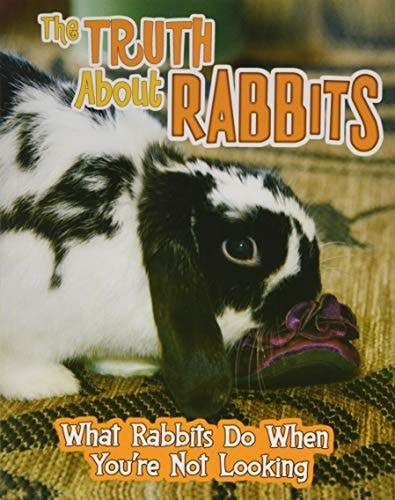 The Truth about Rabbits What Rabbits Do When You're Not Looking by Mary Colson