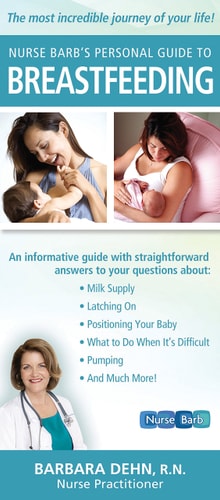 Nurse Barb's Personal Guide to Breastfeeding: The Most Incredible Journey of Your Life! by Barbara Dehn