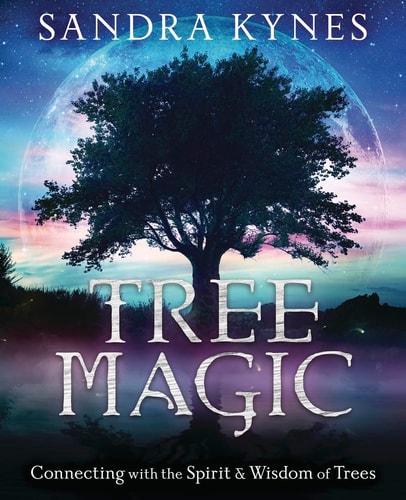 Tree Magic Connecting with the Spirit & Wisdom of Trees by Sandra Kynes