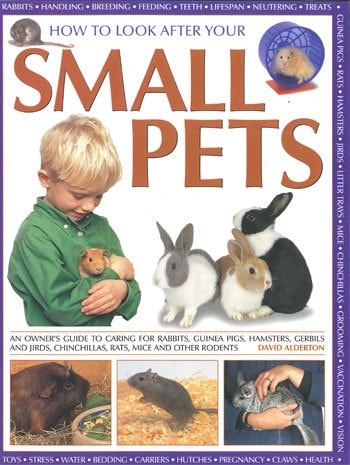 How to Look After Your Small Pets by David Alderton