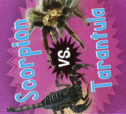 Scorpion Vs Tarantula by Isabel Thomas