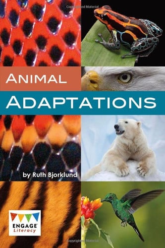 Animal Adaptations by Ruth Bjorklund