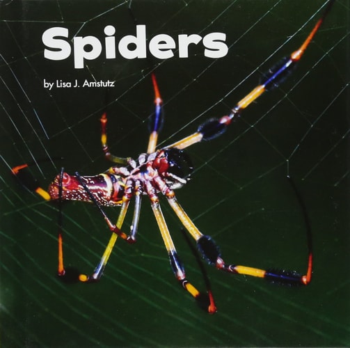 Spiders by Lisa J. Amstutz