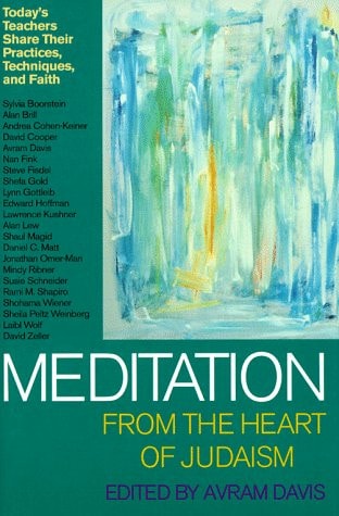Meditation from the Heart of Judaism Today's Teachers Share Their Practices, Techniques, and Faith by Avram Davis
