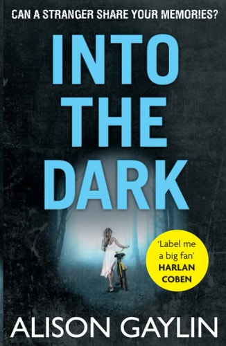 Into the Dark by Alison Gaylin, Alison Sloane Gaylin