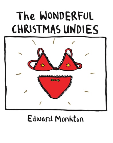 The Wonderful Christmas Undies by Edward Monkton