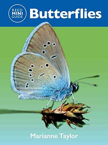 Reed Mini Guide: Butterflies: Comprehensive Guide To Butterflies by Marianne Taylor