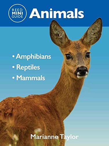 Reed Mini Guide: Animals: Comprehensive Guide To Animals by Marianne Taylor