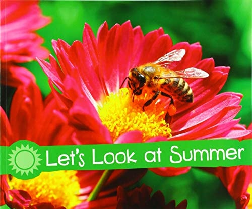 Let's Look at Summer by Sarah L. Schuette