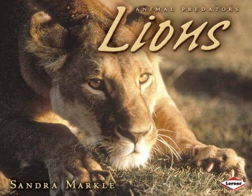 Lions by Sandra Markle