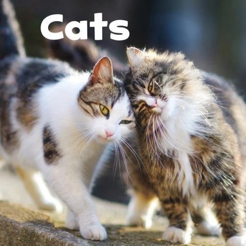 Cats by Lisa J. Amstutz