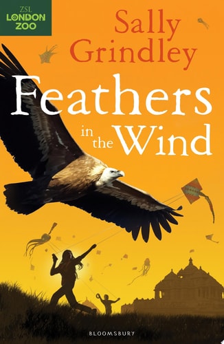 Feathers in the Wind by Sally Grindley