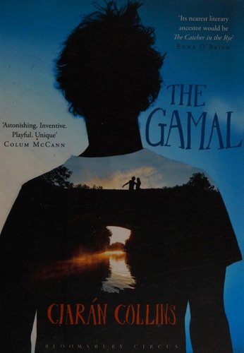 The Gamal by Ciarán Collins