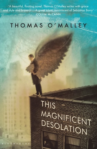 This Magnificent Desolation by Thomas OMalley