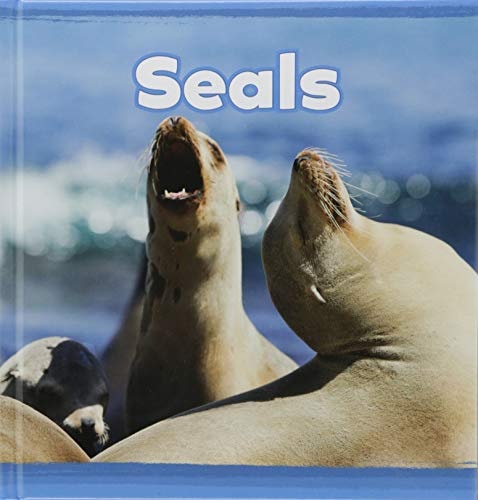 Seals by Kathryn Clay