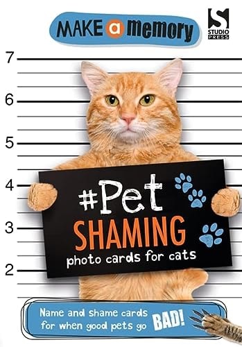 Make a Memory #Pet Shaming Cat Name and Shame Photo Cards for when Good Pets Go Bad! by Holly Brook-Piper
