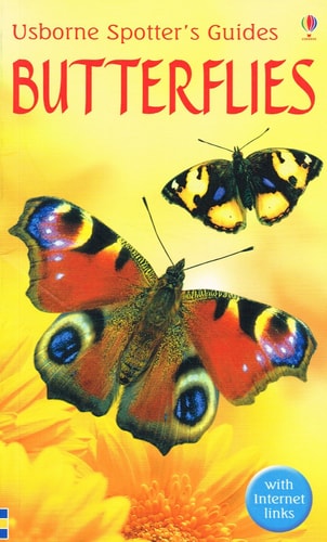 Butterflies by George Edward Hyde