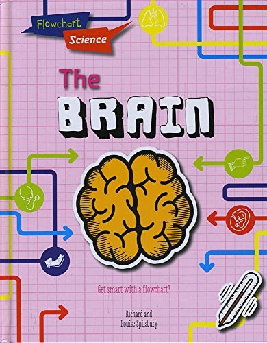 The Brain by Louise Spilsbury