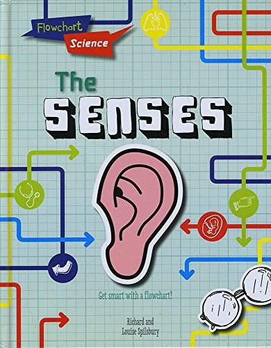 The Senses by Louise Spilsbury