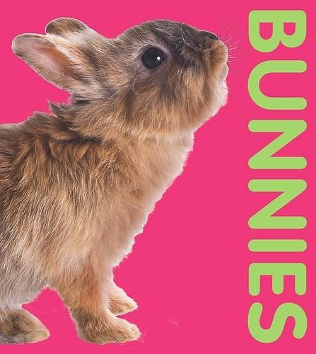 Bunnies by Parragon Book Service Limited