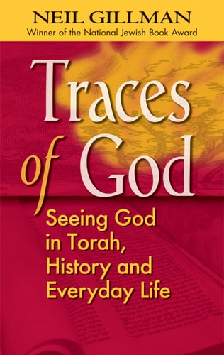 Traces of God: Seeing God in Torah, History and Everyday Life by Rabbi Neil Gillman