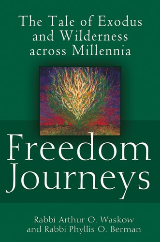 Freedom Journeys: The Tale of Exodus and Wilderness across Millennia by Rabbi Arthur O. Waskow, Rabbi Phyllis O. Berman