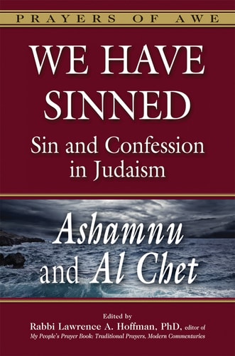 We Have Sinned: Sin and Confession in Judaism - Ashamnu and Al Chet by Lawrence A. Hoffman