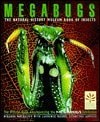 Megabugs: The Natural History Museum Book of Insects by Miranda Macquitty