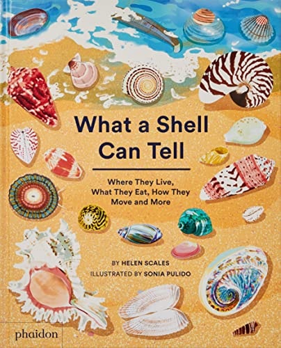 WHAT A SHELL CAN TELL by Helen SCALES
