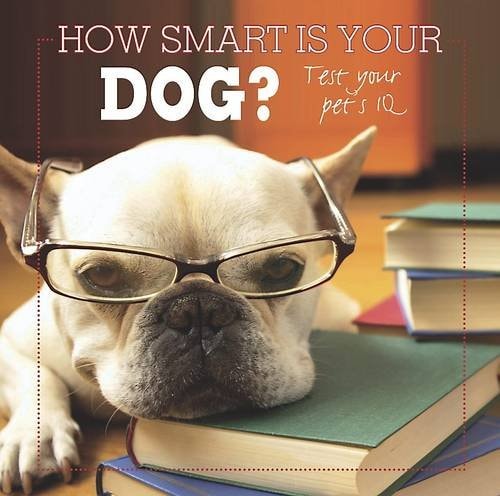How Smart Is Your Dog? by Jon Richards