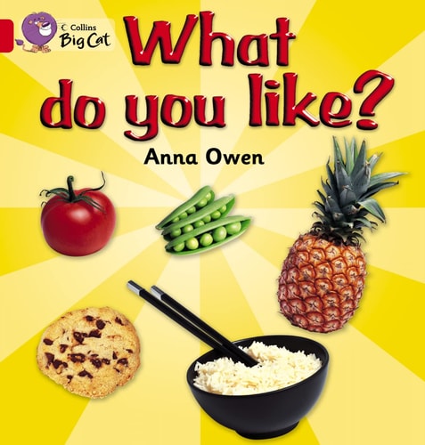 What Do You Like? Workbook (Collins Big Cat) by Anna Owen