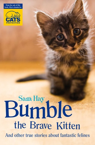 Bumble the Brave Kitten: In Association with Cats Protection by Samantha Hay