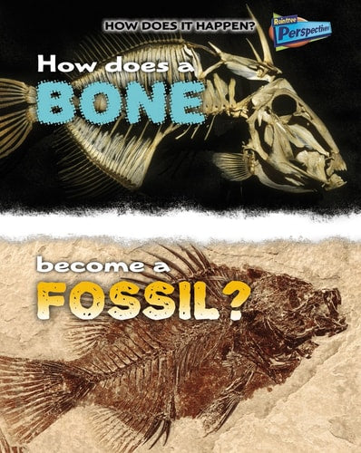 How Does a Bone Become a Fossil? (Raintree Perspectives: How Does It Happen) by Melissa Stewart