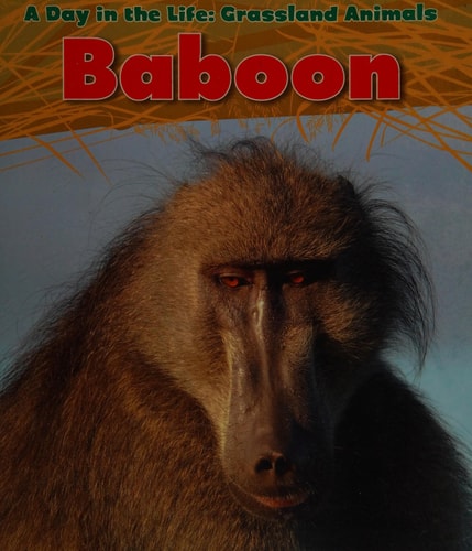 Baboon (Day in the Life. Grassland Animals) by Louise Spilsbury