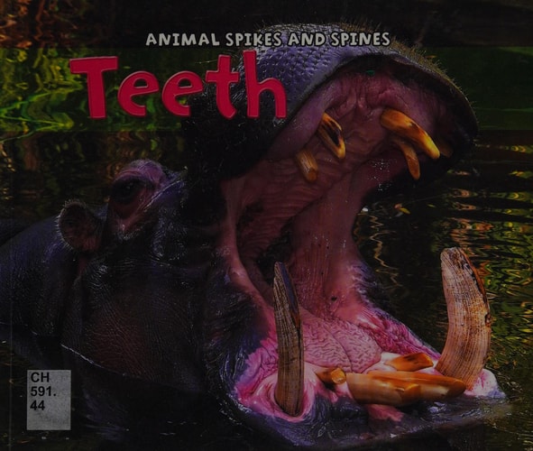 Teeth (Animal Spikes and Spines) by Rebecca Rissman