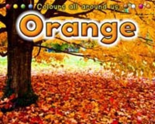 Orange by Rebecca Rissman