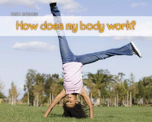 How Does My Body Work? by Charlotte Guillain