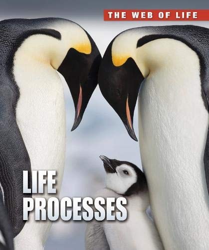Life Processes (Web of Life) by Anna Claybourne