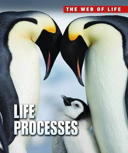 Life Processes by Anna Claybourne