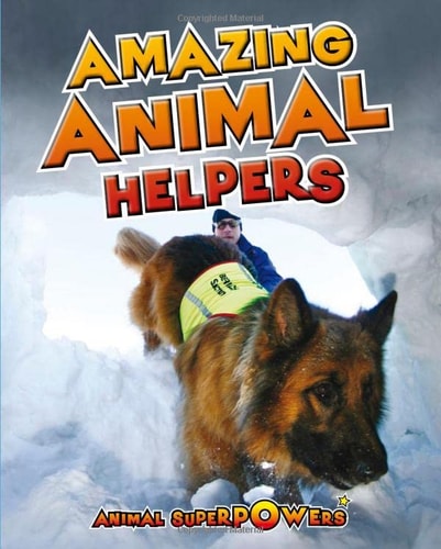 Amazing Animal Helpers by John Townsend